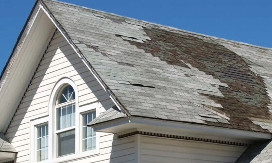 How to Assess Roof Damage After a Storm