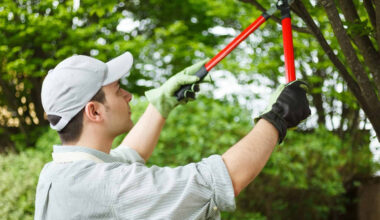 Maintaining Tree Health Through Professional Tree Care