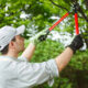 Maintaining Tree Health Through Professional Tree Care