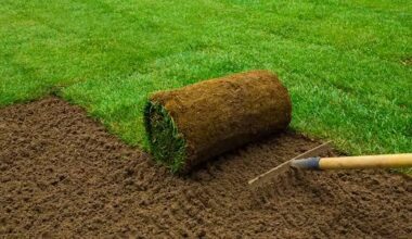 Quality Sod and Reliable Delivery for Coastal Carolina Projects
