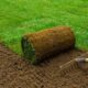 Quality Sod and Reliable Delivery for Coastal Carolina Projects