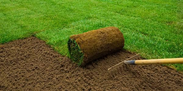 Quality Sod and Reliable Delivery for Coastal Carolina Projects